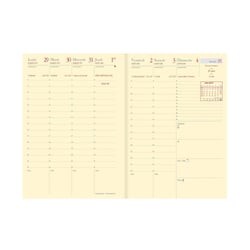 UNIVERSITAIRE PRESTIGE FR Recharge - 10x15 cm - Semainier - 13 mois de août à août