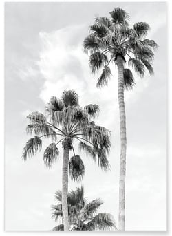 Poster Palmier noir et blanc 3 | A3 : 29,7x42cm