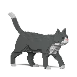 Chat Tuxedo gris | JEKCA | 14 ans et +