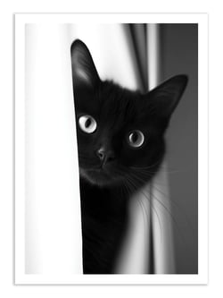 Affiche 30 x 40 cm - Cat's look - Philippe Hugonnard