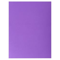 Paquet de 25 chemises Double Poche ROCK''S 210 - double A4 ou A3 - 24x32cm - Violine - x 10 - Exacompta