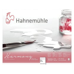 Bloc aquarelle Harmony 300g/m2 12feuilles grain fin 24x30cm - Hahnemühle