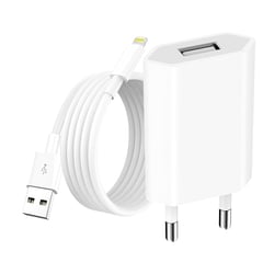 Avizar Chargeur Secteur USB pour iPhone 1A 5W avec Câble USB-A vers Lightning 1m Blanc