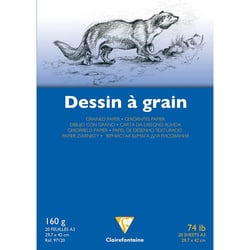 Bloc Dessin A Grain Colle A3 - 160g - 20 feuilles - Clairefontaine