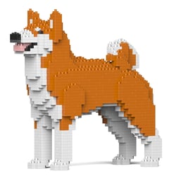 Chien Akita Inu roux Taille standard | JEKCA | 14 ans et +