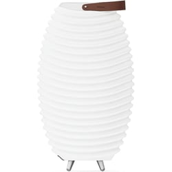 Enceinte Bluetooth Sans Fil Avec Lampe Led Et Seau à Glace Intégrés 56cm - Kooduu SYNERGY 50S 2.0