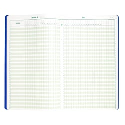Piqûre 40x24cm - Pointage 46 lignes 80 pages - Couleurs assorties - Exacompta