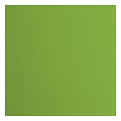 Papier cartonné Florence - 20 feuilles - Frog - 30,5 x 30,5 cm - 216 g/m²