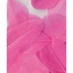 PLUMES ROSES - 6 CM