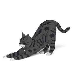 Chat Tigré gris foncé qui s'étire | JEKCA | 14 ans et +