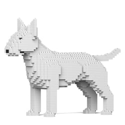 Chien Bull Terrier blanc Taille standard | JEKCA | 14 ans et +