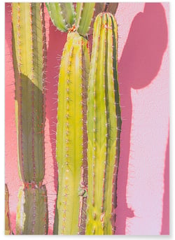 Poster nature Cactus 3 | A3 : 29,7x42cm