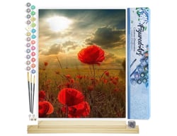 Peinture par Numéro Figured'Art - Fleurs sous le Soleil - Kit de Loisir Créatif DIY Numéro d'Art Complet - 40x50cm toile roulée + châssis en bois à monter