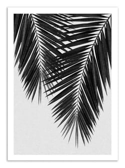 Affiche - Palm Leaf Part 3 Black and White - Orara Studio
