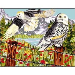 Princesse - Canevas antique Au pays des chouettes 50x65cm