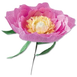 Gabarit de découpe - Sizzix - Wild Peony par Lisa Jones - 5 pièces