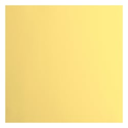 Papier cartonné lisse Florence - Asparagus - 20 feuilles - 30,5 x 30,5 cm - 216 g/m²