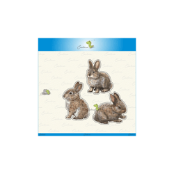 3 Dies lapins