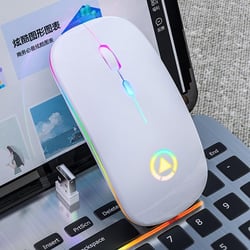 Souris Sans Fil Rechargeable RGB Silencieuse 1600DPI 3 Modes Ajustables Blanc YONIS