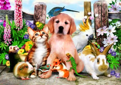 Puzzle 500 pièces - Good Companions - Bluebird Puzzle