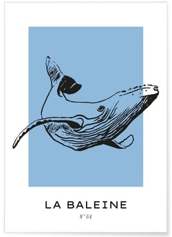 Affiche La baleine | A3 : 29,7x42cm