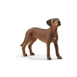13895 Chien de Rhodesie a crete dorsale - Schleich
