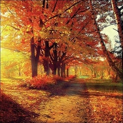 Lot de 4 serviettes en papier découpage collage 33 cm PARC EN AUTOMNE N 203