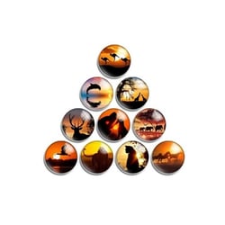 10 cabochons rond en verre assorties 25 mm ANIMAUX COUCHER DE SOLEIL