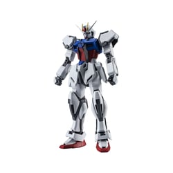 Mobile Suit Gundam Seed - Figurine Robot Spirits (Side MS) GAT-X105 Strike  ver. A.N.I.M.E. 12