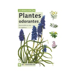 Miniguide 44 - Plantes odorantes