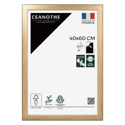 Cadre photo Newton bois noir 40x60 cm