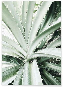 Poster Nature Verte n°4 | A3 : 29,7x42cm
