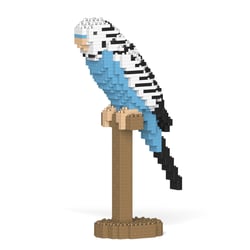 Perruche ondulée bleue | JEKCA | 14 ans et +
