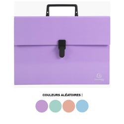 Valisette - Trieur - 18 compartiments - Poignée - Couleurs pastel - Exacompta