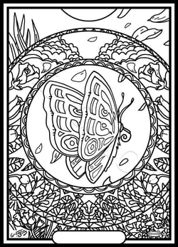 Tableau velours a colorier MANDALA PAPILLON Sericolor