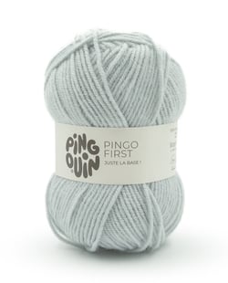 Pingo First