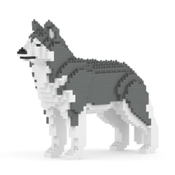 Chien Husky gris Taille standard | JEKCA | 14 ans et +