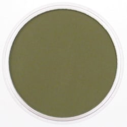 PANPASTEL 9ml Hansa yellow Extra Dark