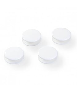 Carte de 2 boutons double pour lingerie 15mm - Prym Blanc