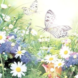 Lot de 4 serviettes en papier découpage collage 33 cm JARDIN FLEUR PAPILLON