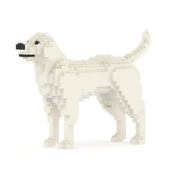Chien Labrador Retriever crème Taille standard | JEKCA | 14 ans et +