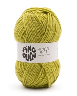 Pingo First