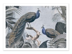 Affiche 30 x 40 cm - Fantastic Peacocks - Andrea Haase