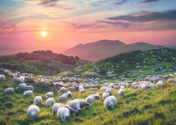 Puzzle 1000 pièces - Sheep and Volcanoes - Heye