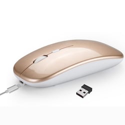 Souris Bluetooth Sans Fil Rechargeable Ultra Fine et Silencieuse