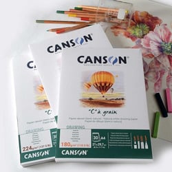 Papier dessin - CANSON - C à grain - 21 x 29,7 cm - 180g - 12 feuilles - Blanc