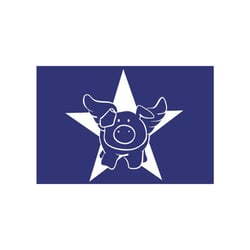 Rayher - Pochoir spécial textile A5 Star-Pig + raclette