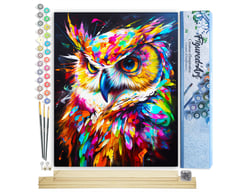 Peinture par Numéro Figured'Art - Hibou Coloré Abstrait - Kit de Loisir Créatif DIY Numéro d'Art Complet - 40x50cm toile roulée + châssis en bois à monter