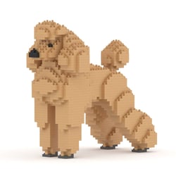 Chien Grand Caniche beige Taille standard | JEKCA | 14 ans et +