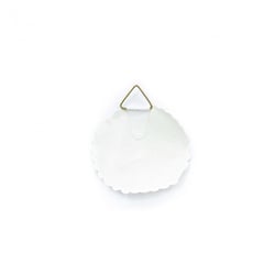 Lot de 12 attaches gommées 45 mm Ceanothe pour 1 Kg
